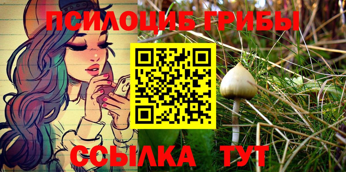 Галлюциногенные грибы Psilocybe Нерюнгри