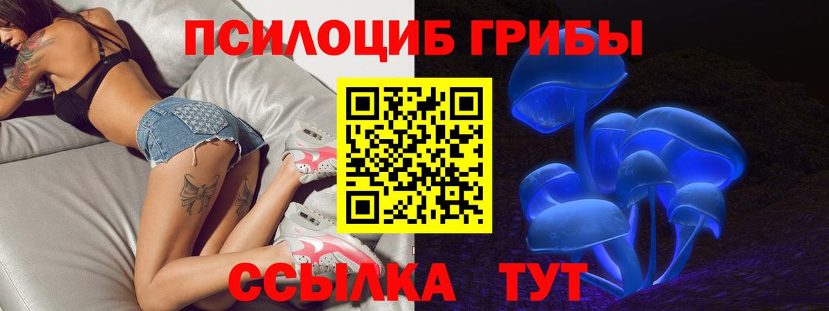 Нерюнгри  Псилоцибиновые грибы Magic Shrooms  Псилоцибиновые грибы Magic Shrooms  Вход с VPN 